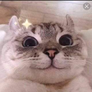 СМЕШНОЙ И ТОЧКА