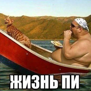ПРИКОЛИСТИКИ