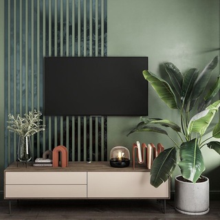 TV ADVICER