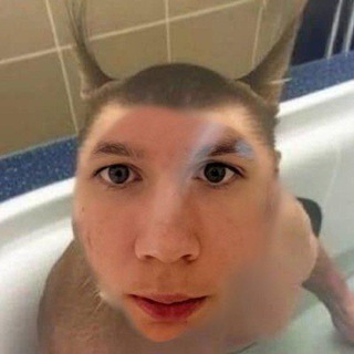МЕДВЕЖЬЯ БУДКА