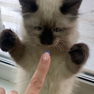 МИЛАШКИ