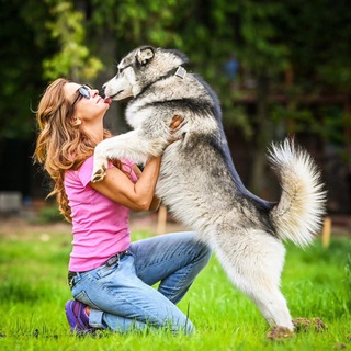 HELP_BIG_DOG