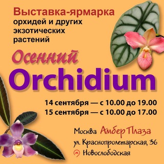 ОРХИДИУМ