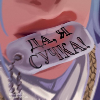 МЕШДОШ DTIYS
