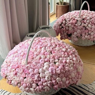 ៸៸  ꒰ ⲂⲈⲀⲤΥⲦ ꒱